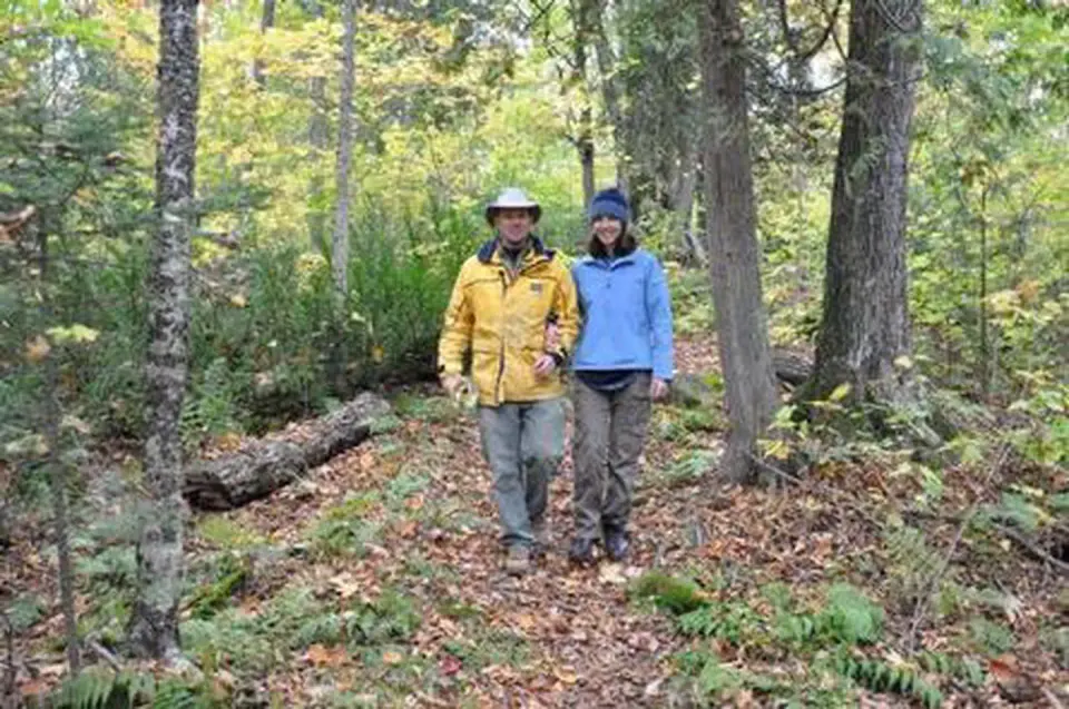 A couple standing in the woods