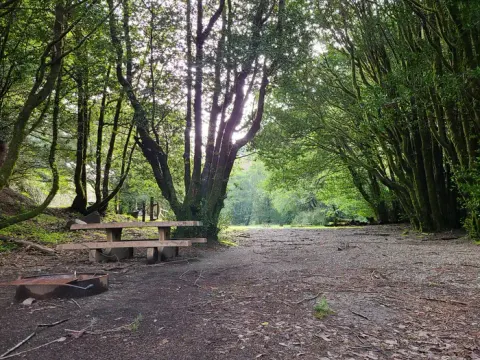 Myrtlewood Field Office recreation area