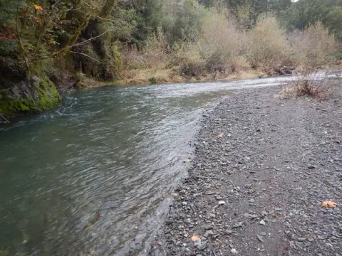 View of Edson Creek