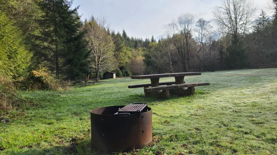 Edson Creek Campsite