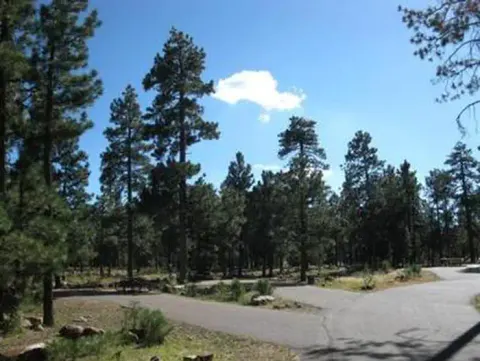 Apache-Sitgreaves National Forest recreation area