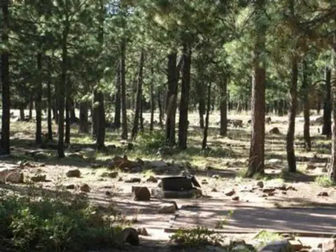 Apache-Sitgreaves National Forest recreation area