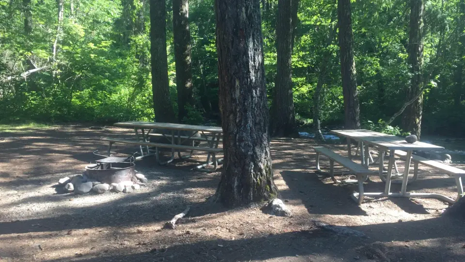 campsite 1