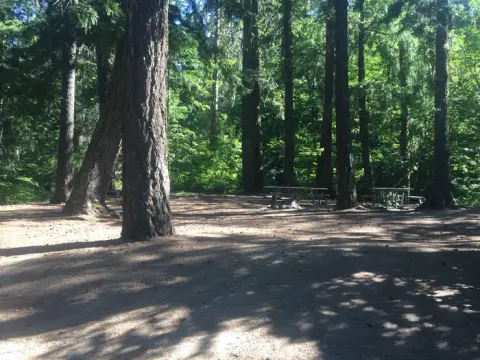 Gifford Pinchot National Forest recreation area