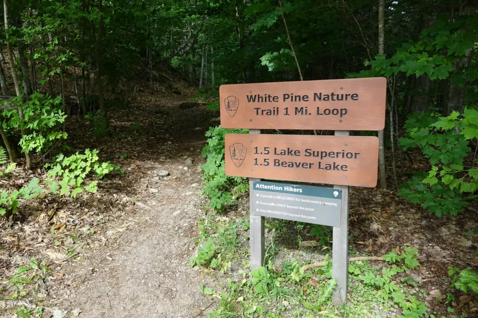 White Pine trail access from campground