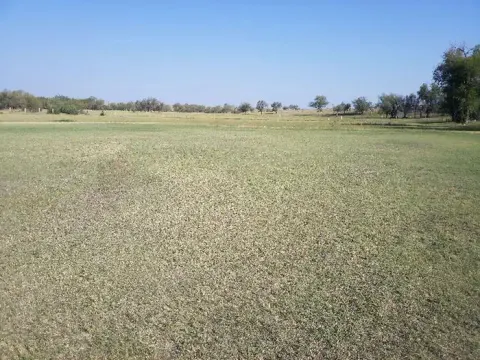 field