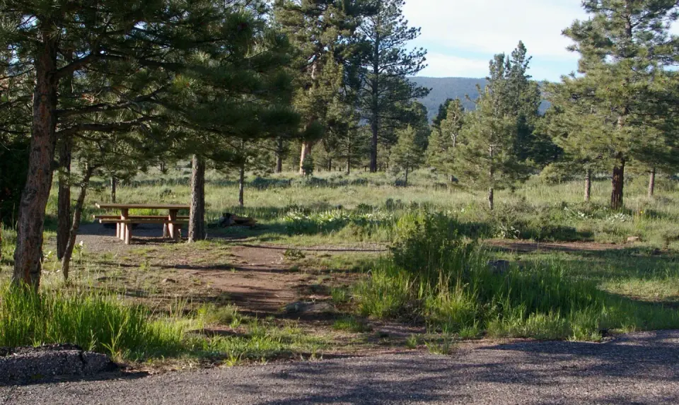 Ashley National Forest recreation area