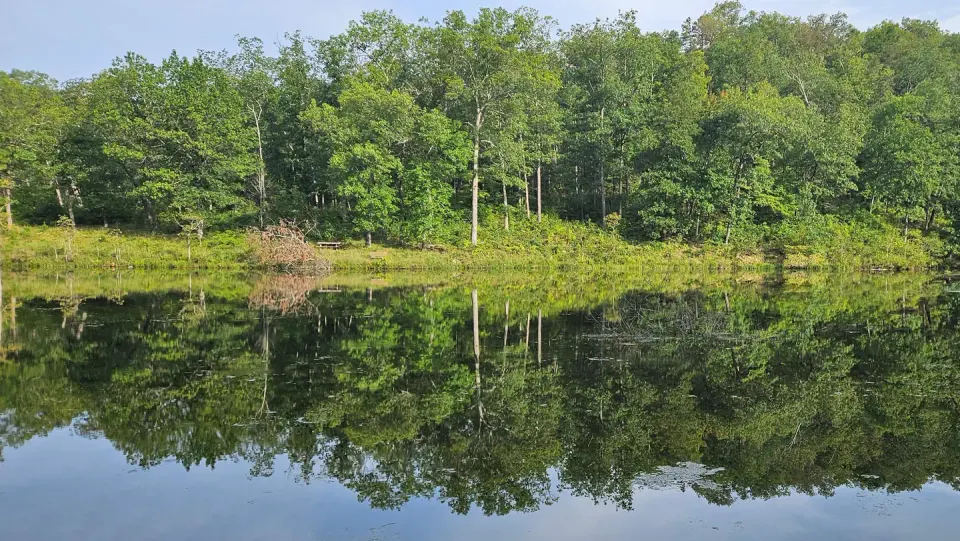 View of Loggers Lake