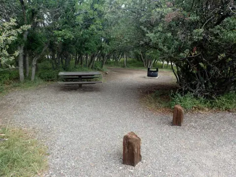 South Rim Campground standard non-electric site