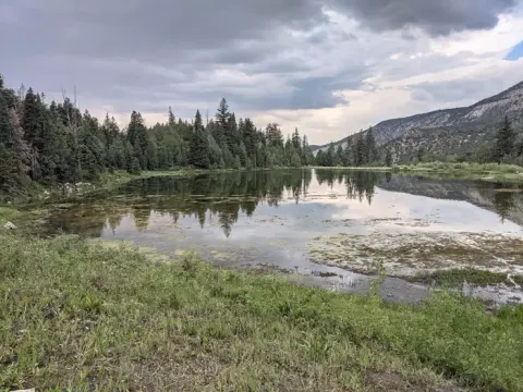 Manti Community Campground - Yearns Reservoir