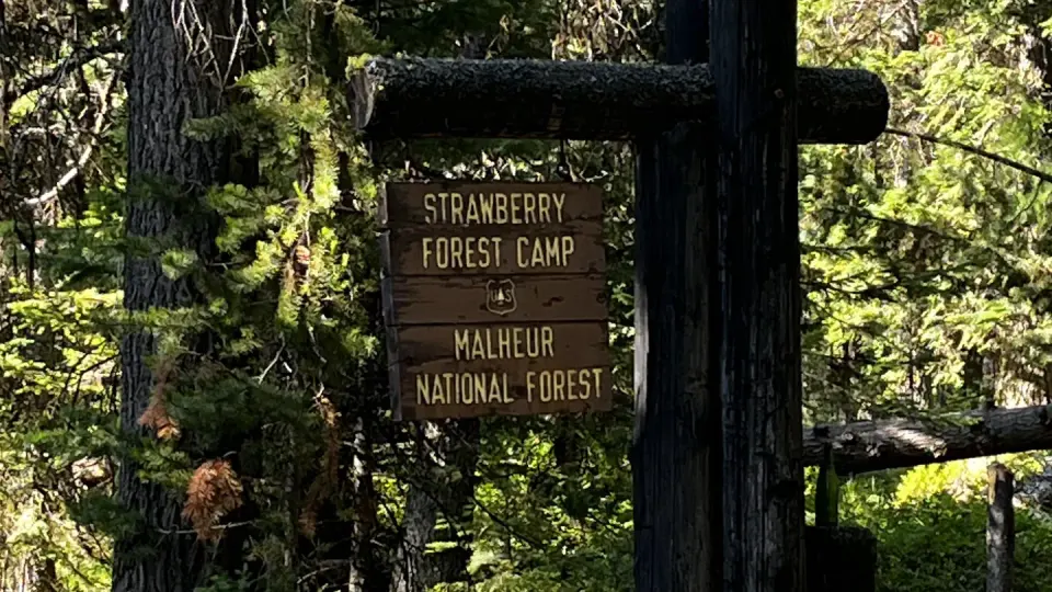 Strawberry Campground entrance