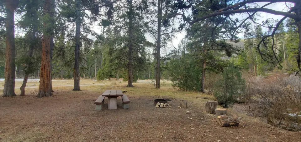 Campsite with picnic table and fire ring shaded by conifers
