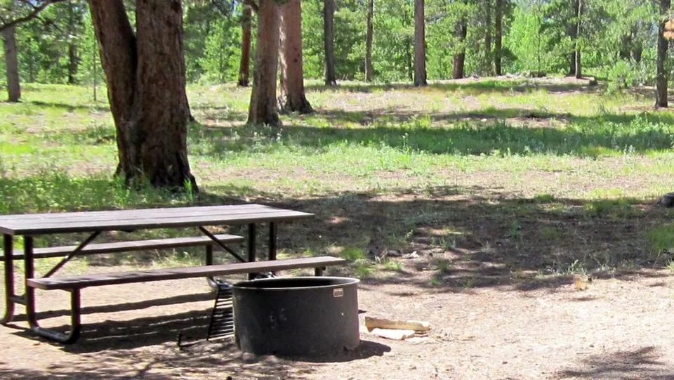 Meeker Park Overflow CG. A campsite at Meeker Park with a picnic table and fire pit.