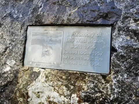 Wild Mare Memorial Rock