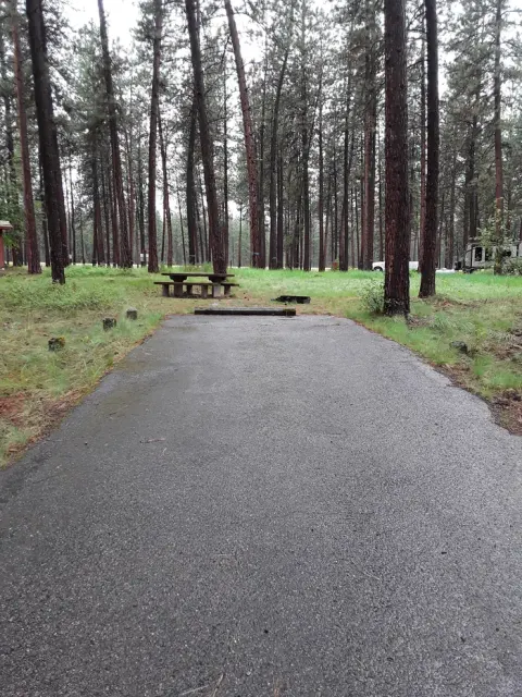 Loop C, Site 1