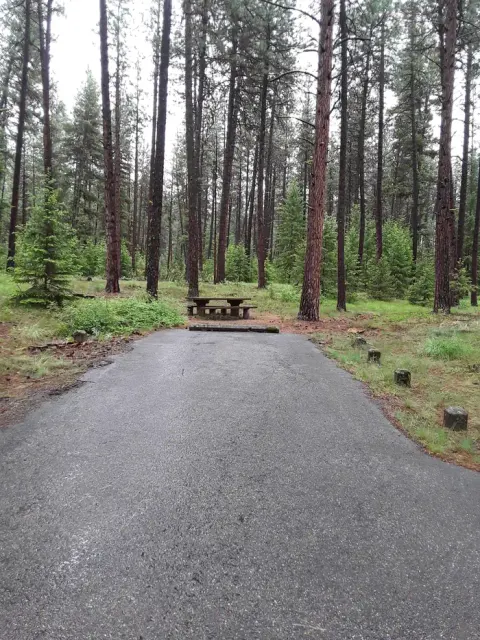 Lolo National Forest recreation area