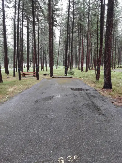 Lolo National Forest recreation area