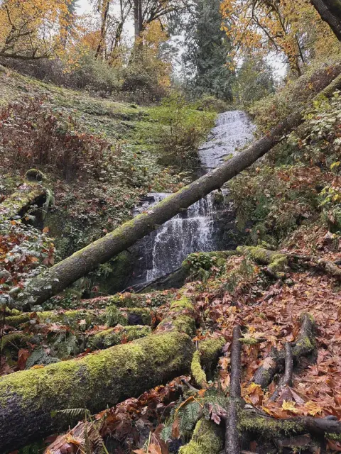 Waterfall on Elliott State Forest land accessed from Loon Lake day use area.