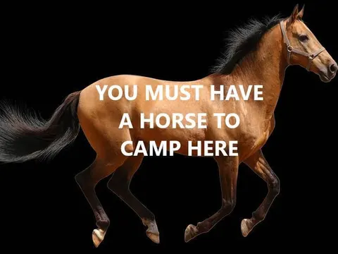 An open, lightly graveled clearing surrounded by tall trees and patches of green grass, set at the base of a rocky mountain slope. The area is spacious and level, with natural shade from surrounding trees—suitable for stock animals and campsite setup