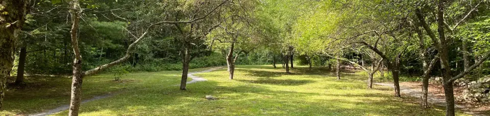 Moosalamoo paths and recreation space