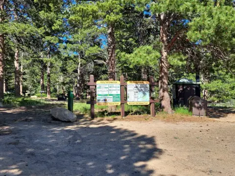 Information and Service area