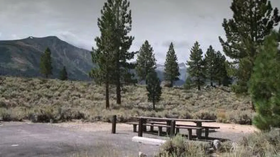 Humboldt-Toiyabe National Forest Headquarters recreation area