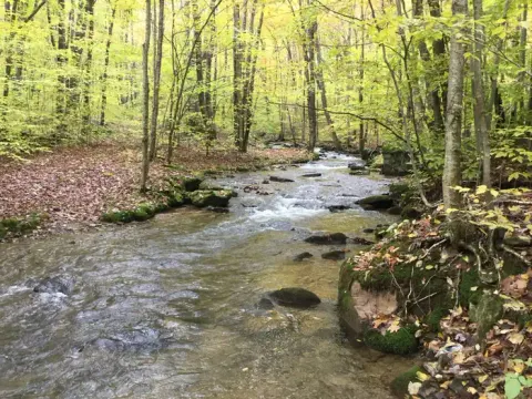 Allegheny National Forest recreation area