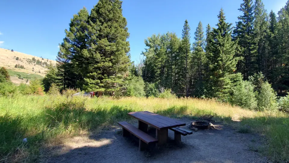 Campsite with fire ring and picnic table.