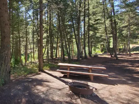 Campsite with picnic table and fire ring, shaded by trees adjacent to Racetrack creek.