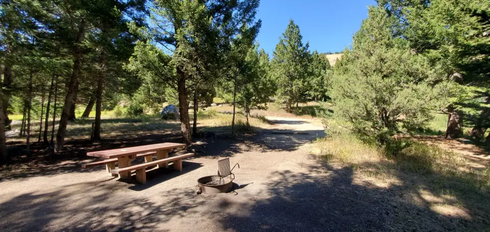 Fire ring with picnic table, fire ring, and parking spur in view.
