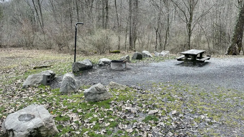 Monongahela National Forest recreation area