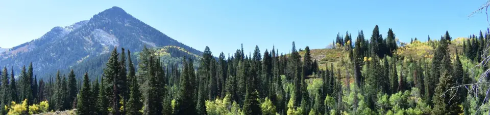 Uinta-Wasatch-Cache National Forest recreation area