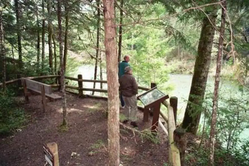 Interpretive panel