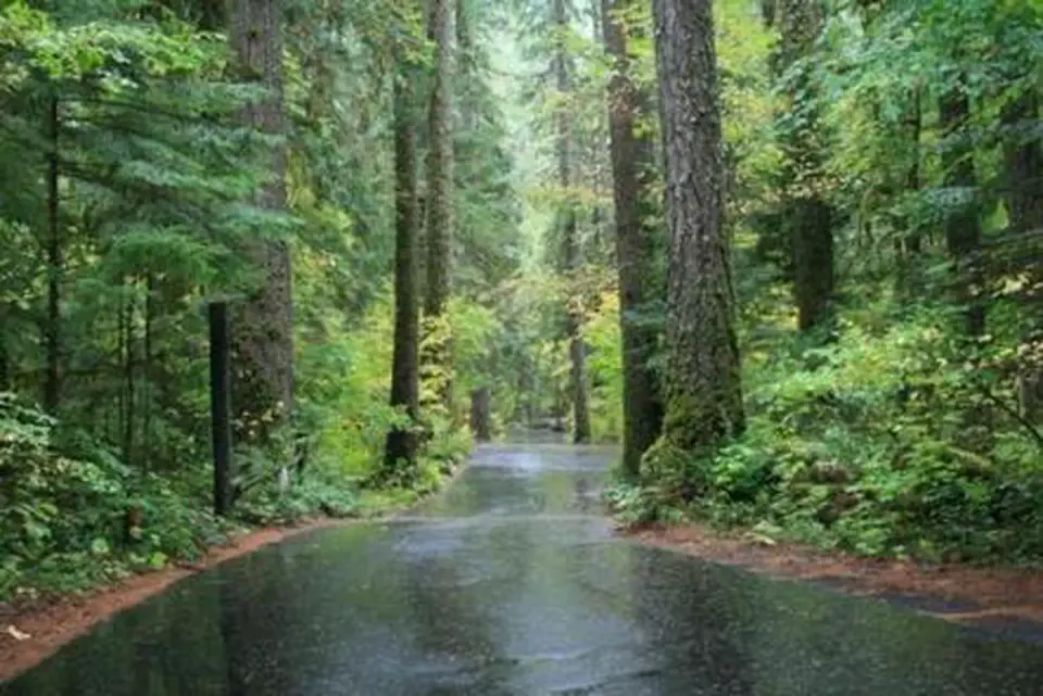 Susan Creek Campground roadway