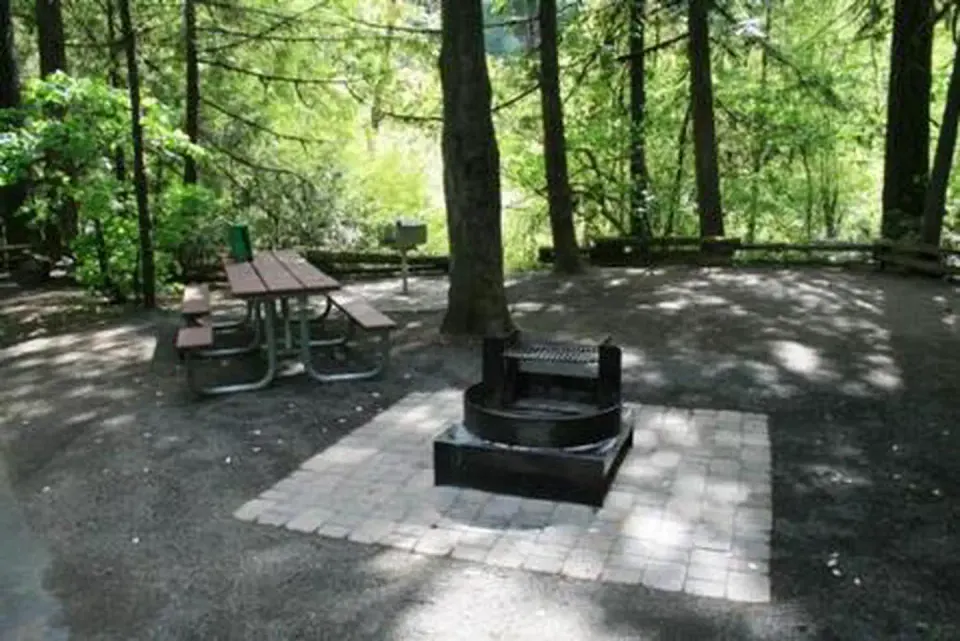 Susan Creek Campground campsite