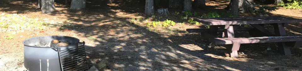 Little Cove Campground