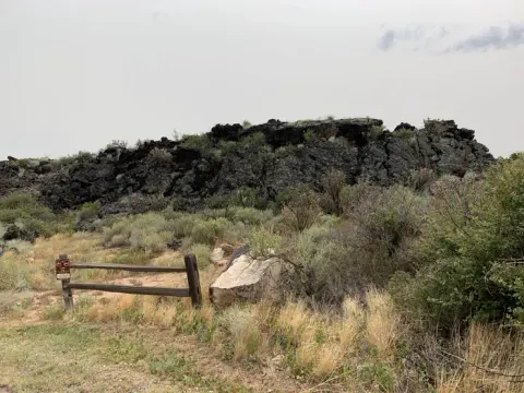 Habitat