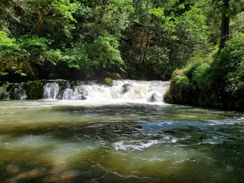 Swimming Area