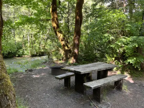 Willamette National Forest recreation area