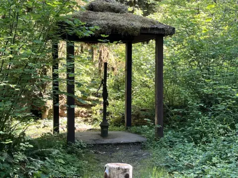 Willamette National Forest recreation area