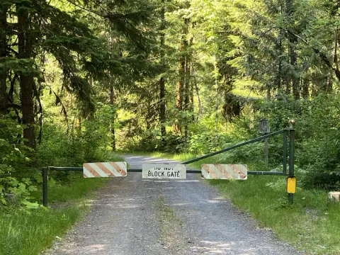 Willamette National Forest recreation area