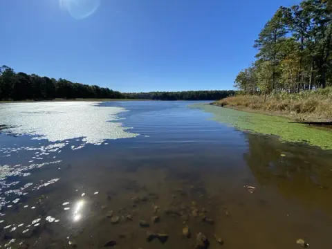 Mark Twain National Forest recreation area