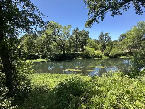 View from Campsite of Sacramento River Side Channel