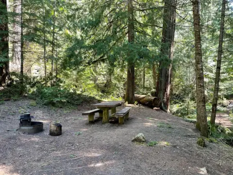 Willamette National Forest recreation area