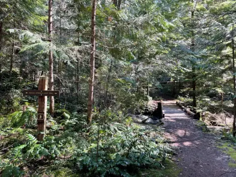 Willamette National Forest recreation area
