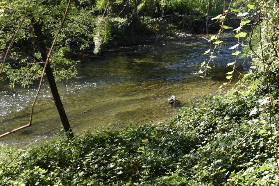 Clear Creek at Peltier Bridge Campground alternate view