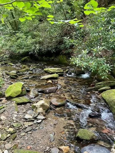 Blue Ridge Parkway recreation area