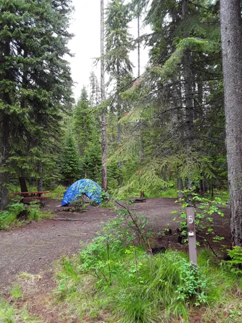 Loop B Site 5