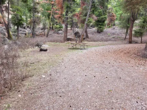 Campsite 4