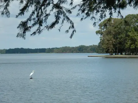 Arkansas River - Wilbur D. Mills Pool recreation area